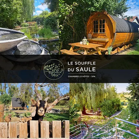 Indiana - Du Souffle Du Saule *
