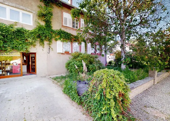 La Indiana - Le Souffle Du Saule - * Buhl-Lorraine