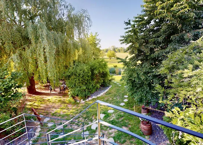 La Indiana - Le Souffle Du Saule - * Buhl-Lorraine