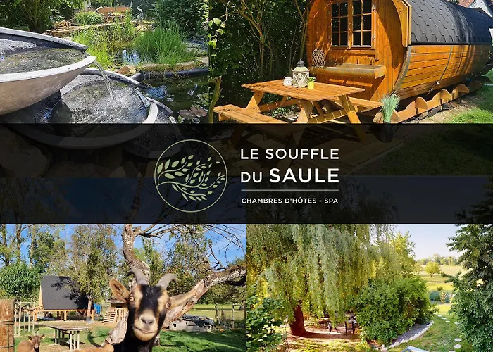 La Indiana - Le Souffle Du Saule - *