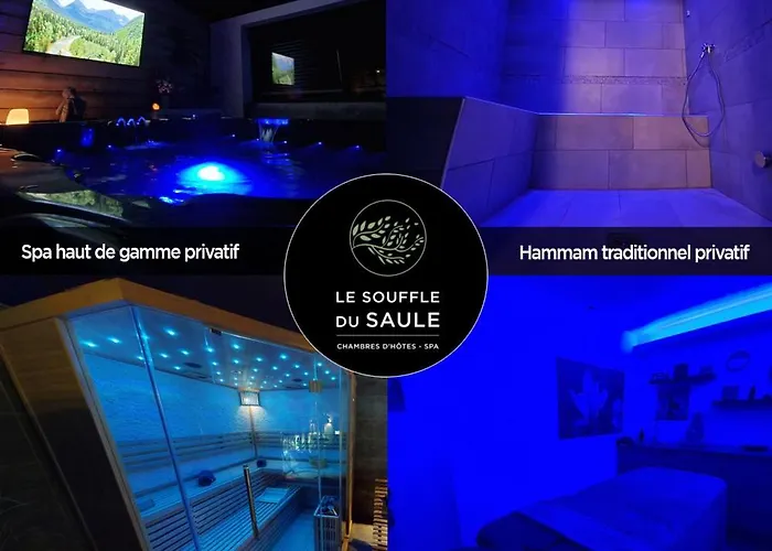 La Indiana - Le Souffle Du Saule - Konukevi Buhl-Lorraine